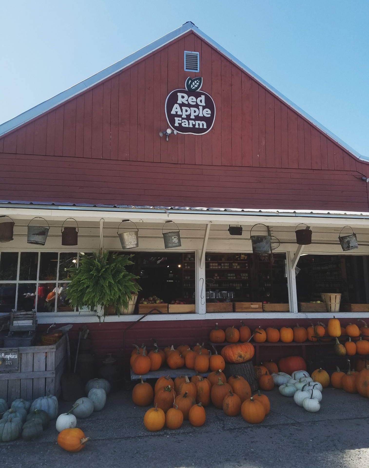 Local Loves: Red Apple Farm – Coffee & Chiffon